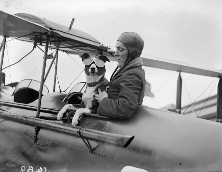 old picture of a dog and human flying in an airplane together