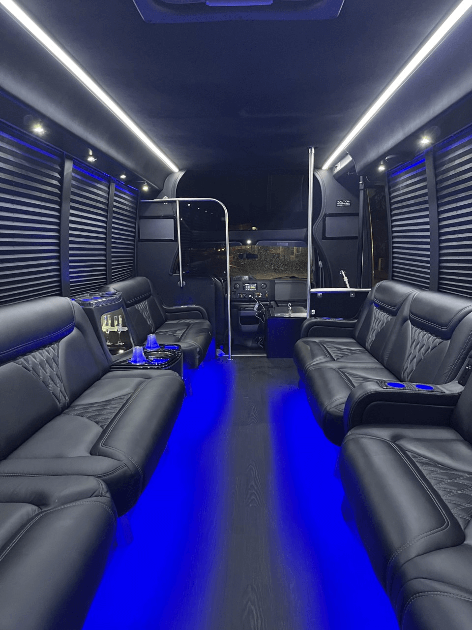 20 passenger party bus rental fresno