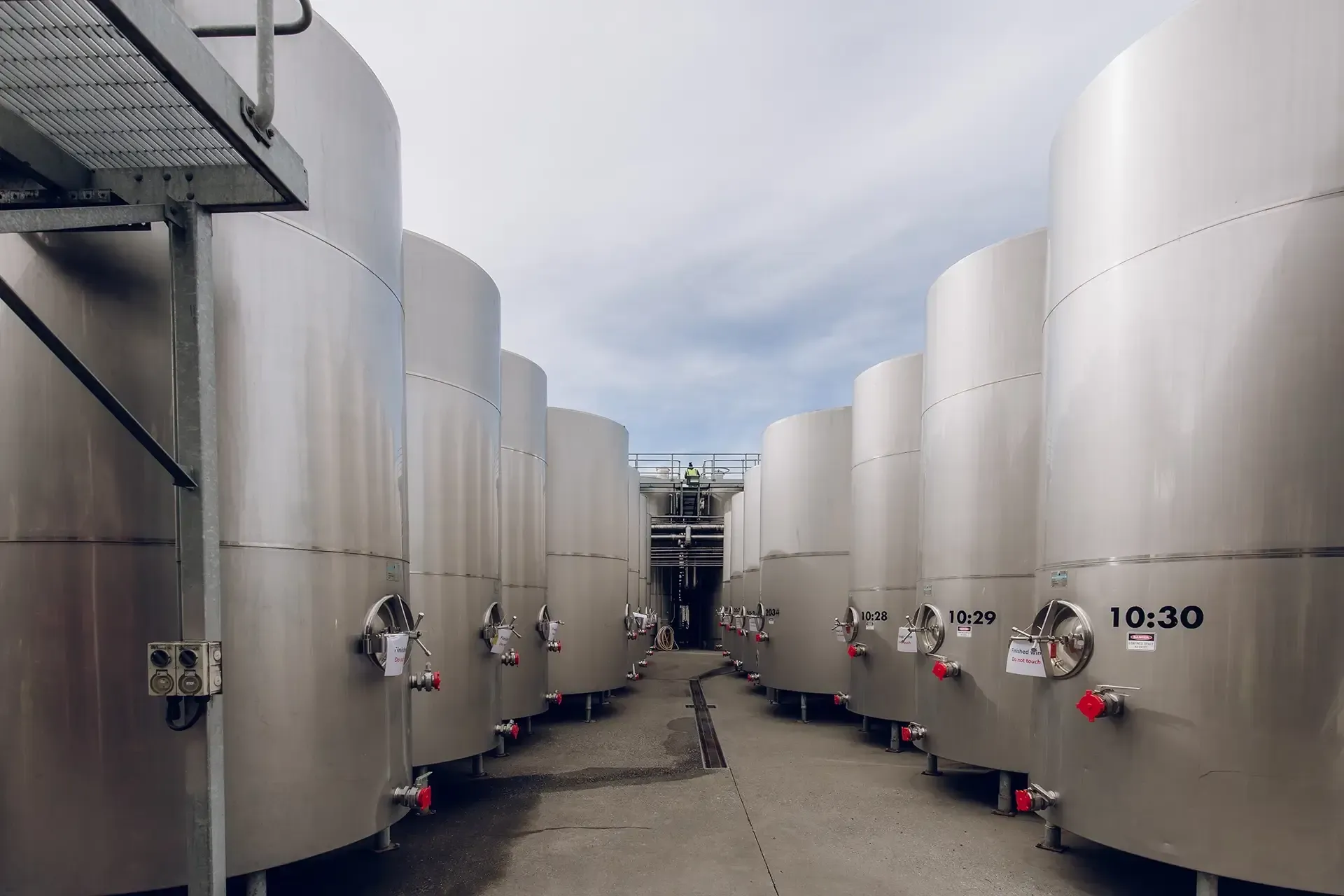 Liverpool Street Winery NZ Wineries