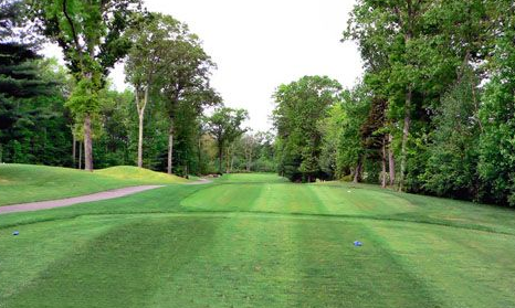 A golf course with a lot of green grass and trees