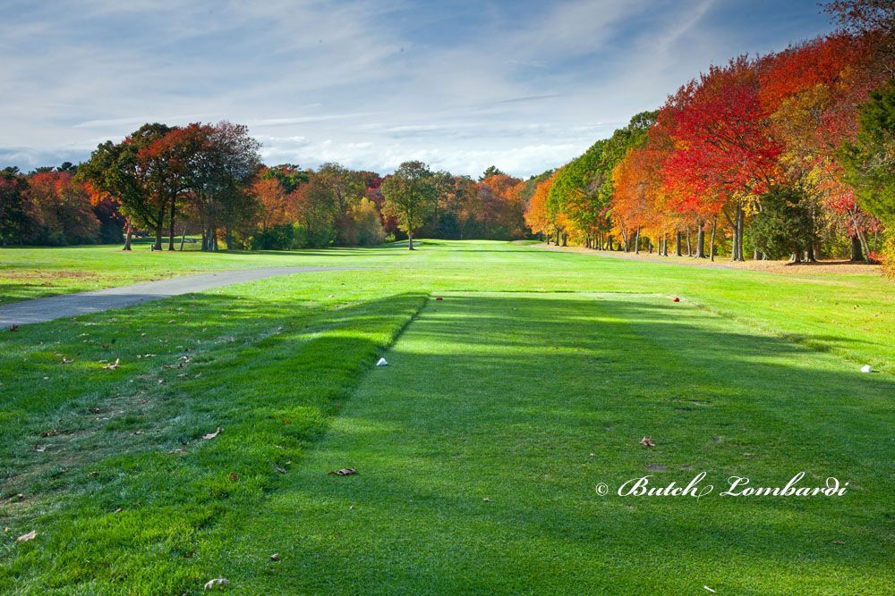 A picture of a golf course with trees in the background