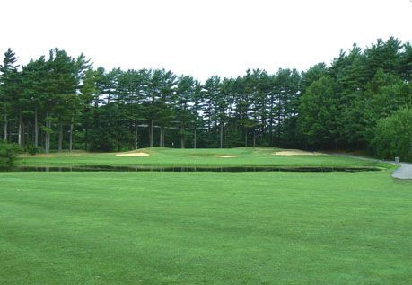 A lush green golf course with trees in the background