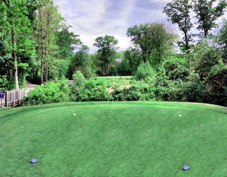 A golf course with trees in the background and two golf balls on the green.