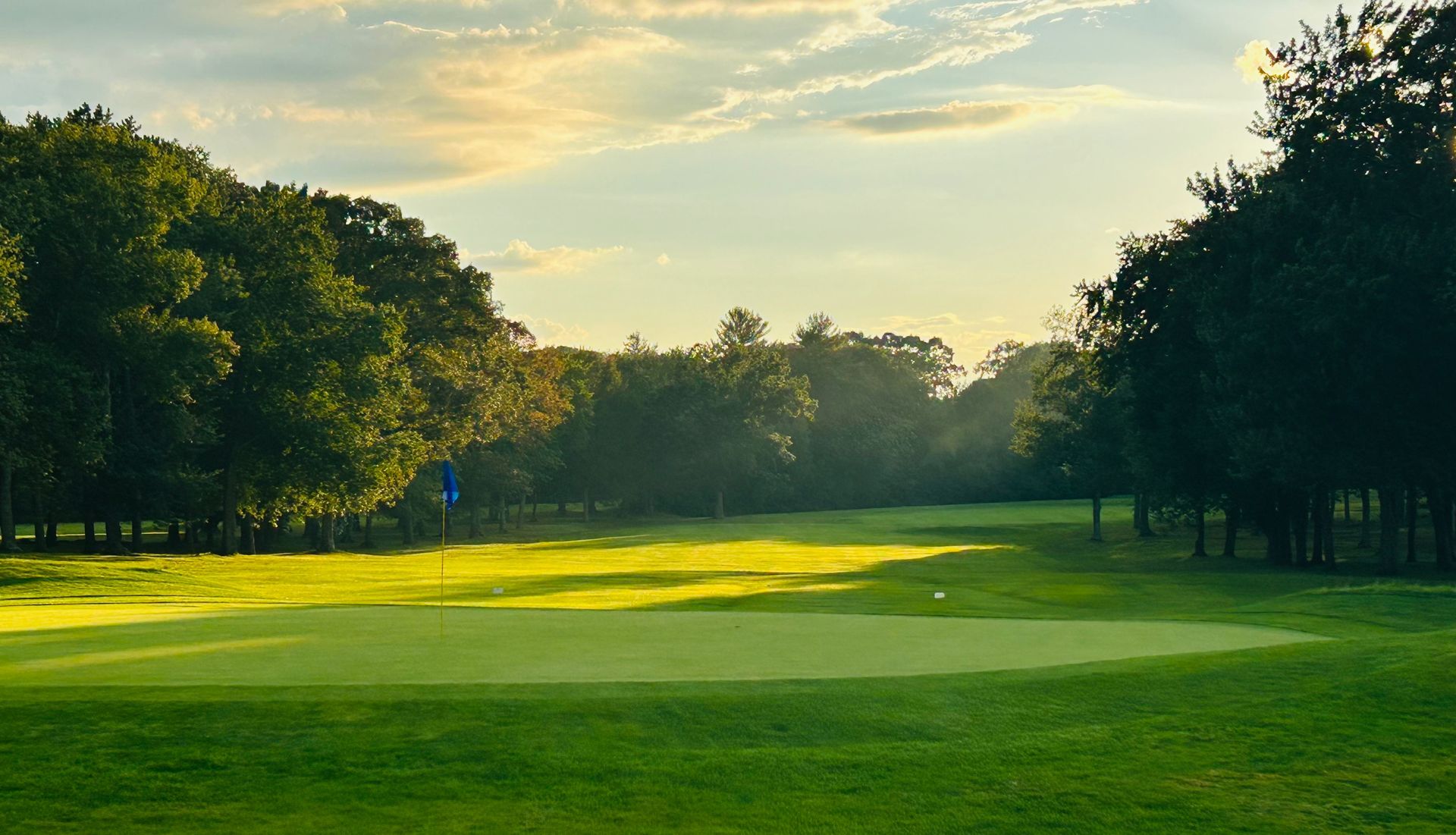 A golf course with a green and trees in the background.