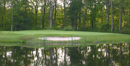A golf course with a pond in the middle of it and trees in the background.
