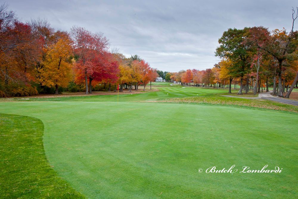 A green golf course with trees in the background and a cloudy sky.