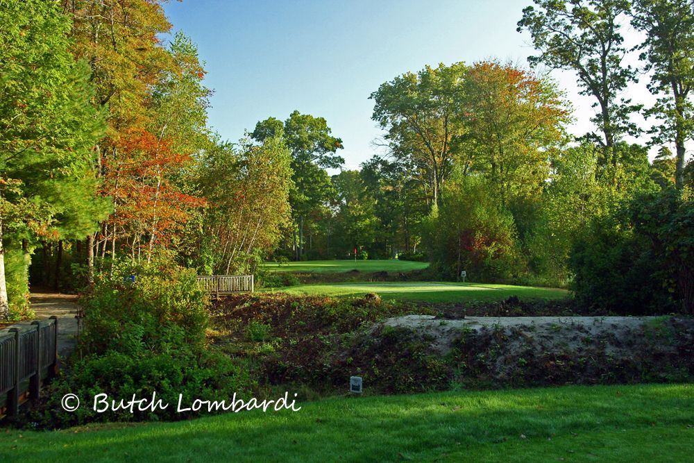 A picture of a park taken by butch lombardi