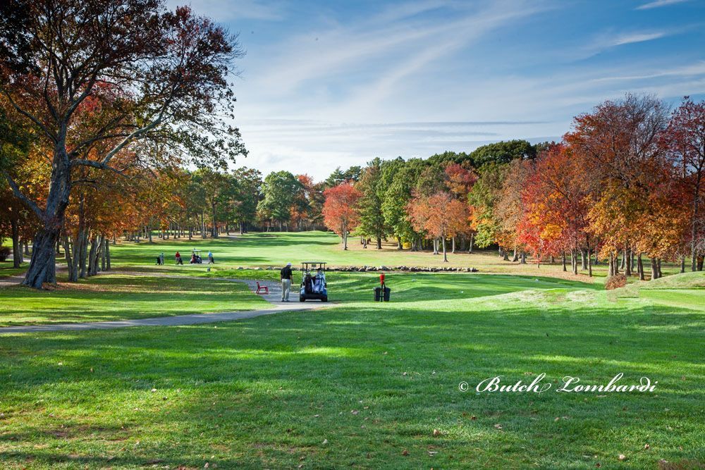 A golf cart is parked on the side of a golf course surrounded by trees.