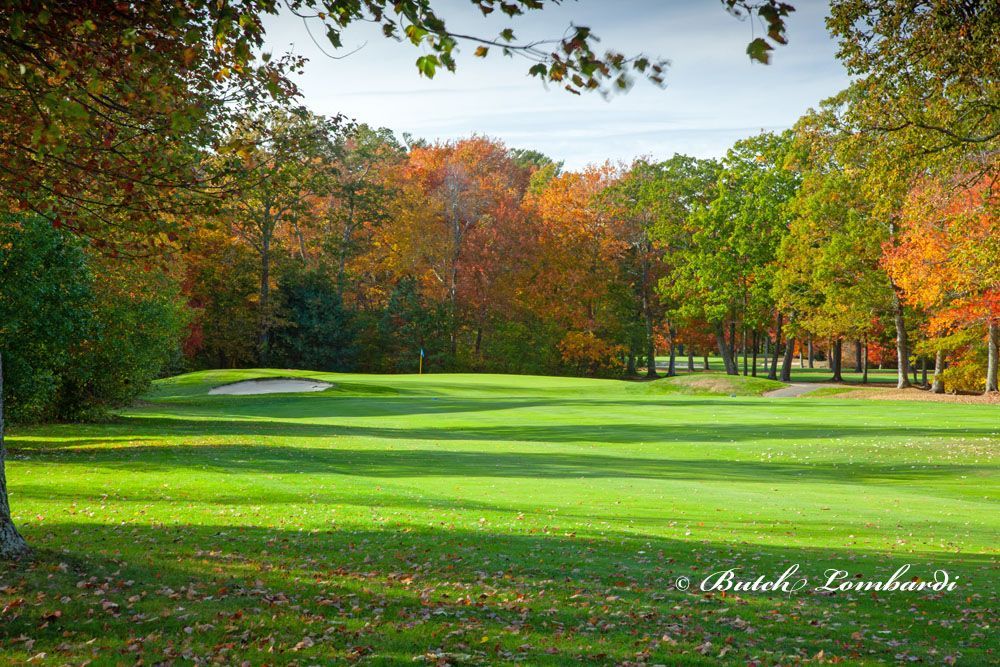 A picture of a golf course with trees in the background