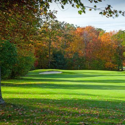 A golf course surrounded by trees and leaves on a sunny day.