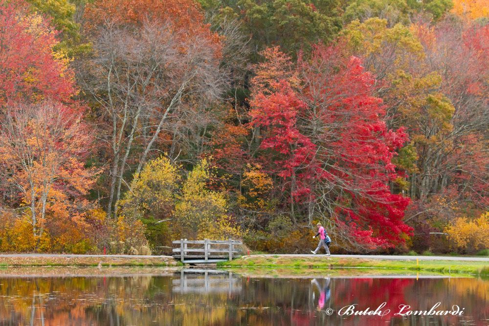 A person is walking along a path next to a lake with trees in the background.