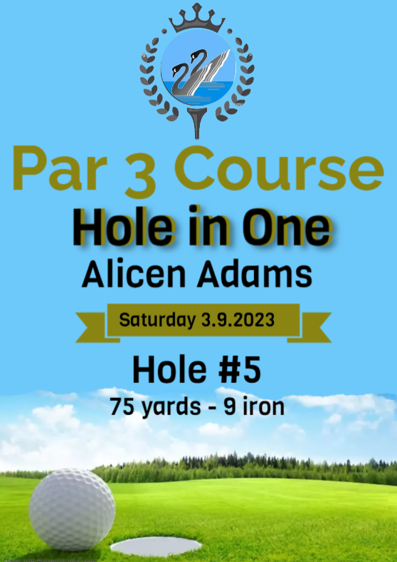 A poster for par 3 course hole in one alicen adams