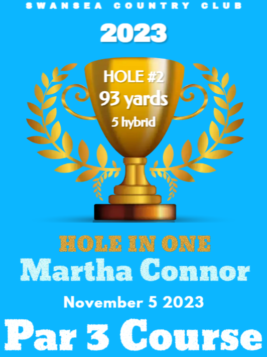 A poster for hole in one martha connors par 3 course
