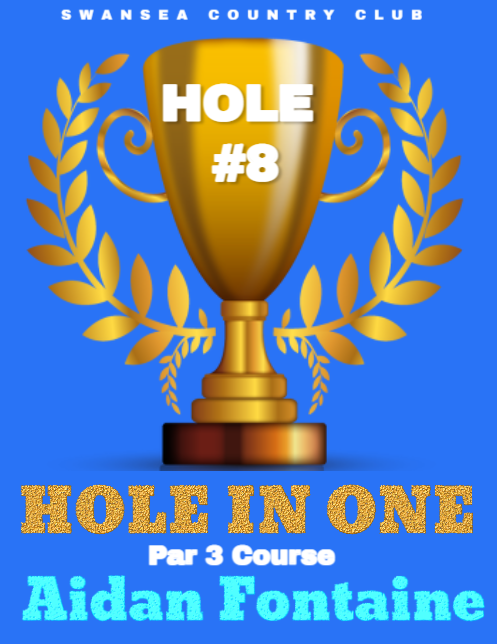 A poster for hole in one by aidan fontaine