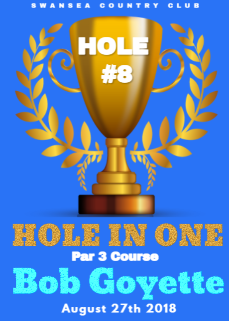 A poster for hole in one by bob goyette