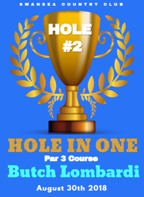 A poster for hole in one par 3 course by butch lombardi