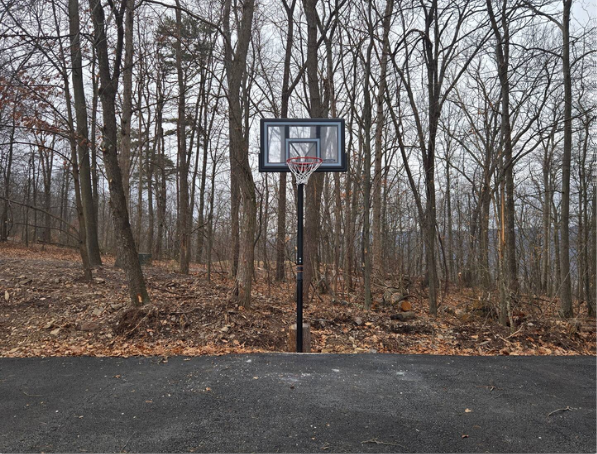 Basketball hoop on driveway with bare forest background.
