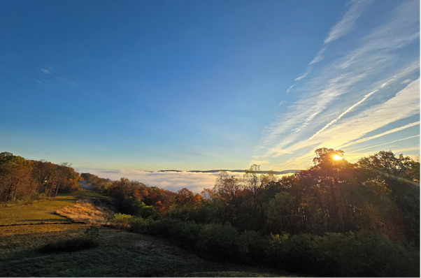Golden sunrise over autumn forest and field with low clouds.