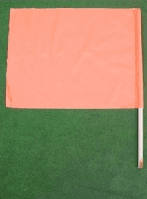 BANDIERA PER MOVIERI