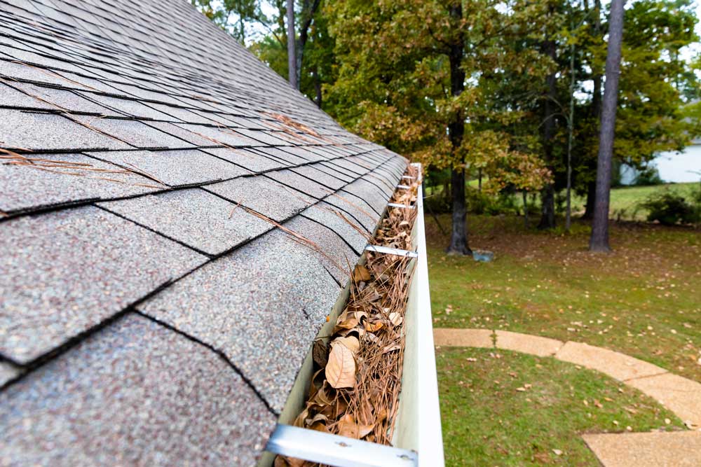 Roof gutter full of leaves and pine straw debris — Indianapolis, IN — Rain-Flow Systems