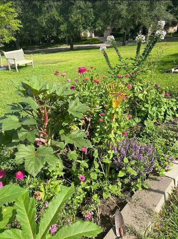 A garden filled with lots of flowers and plants with a bench in the background.