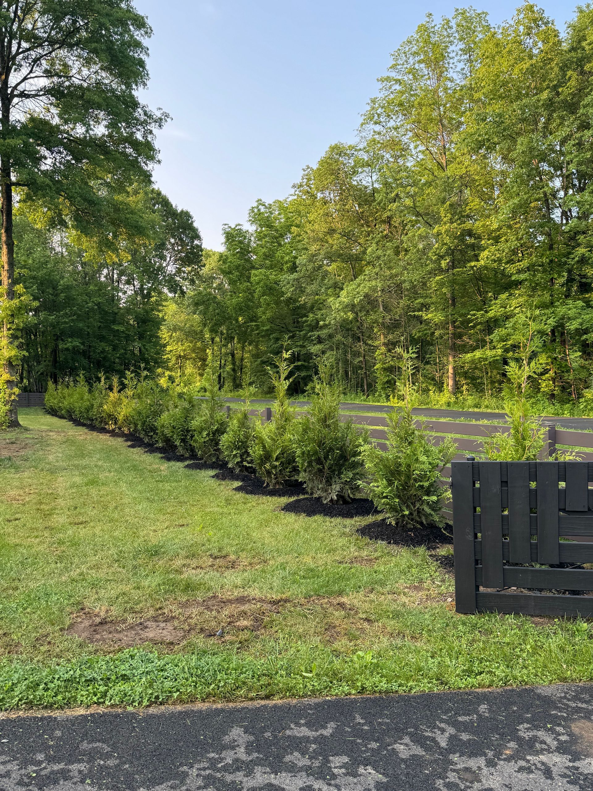 A green lawn with a row of shrubs leads to a wooded area. A dark fence is in the right corner.