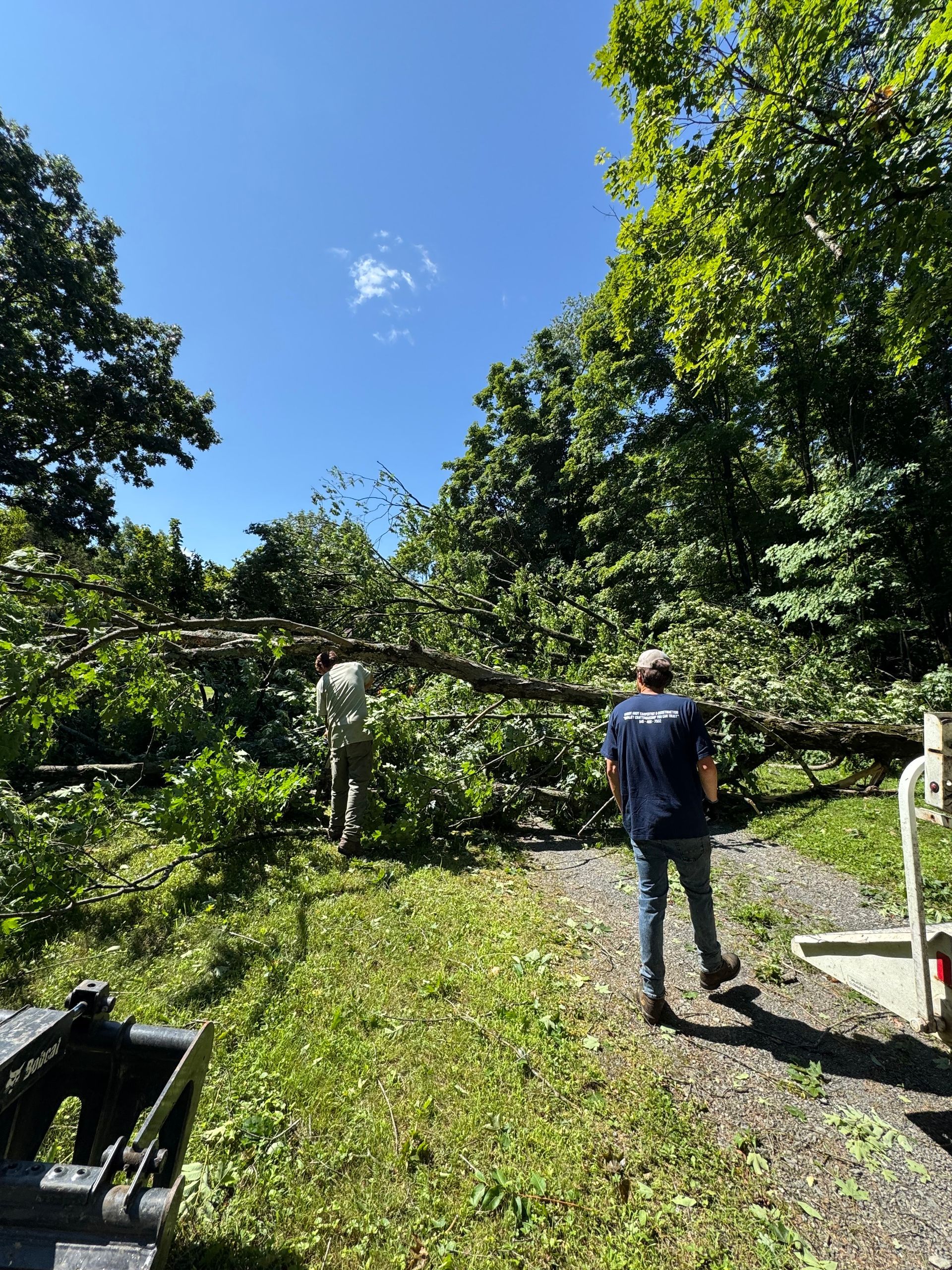 Two people clearing fallen tree branches on a sunny day. One is obscured, the other in a blue shirt, facing the debris on a grassy area.