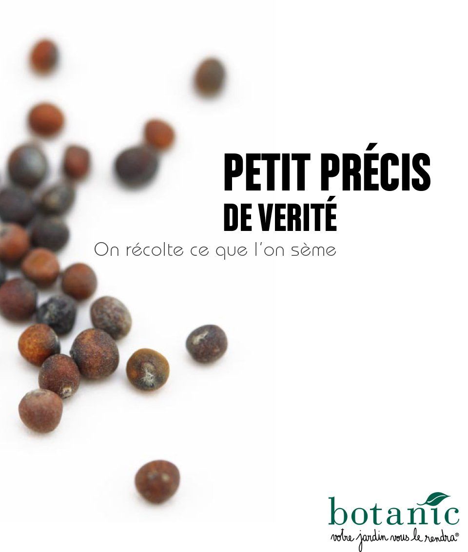 Conception de brochures
