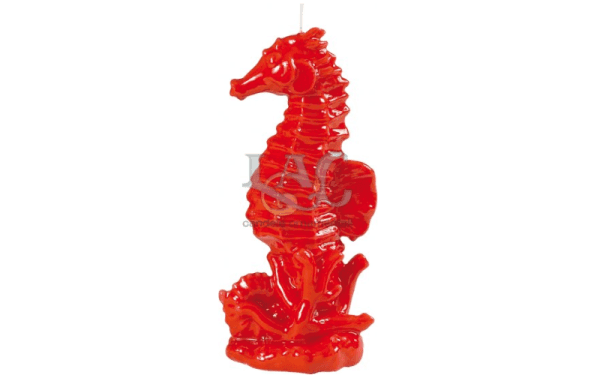 seahorse candle