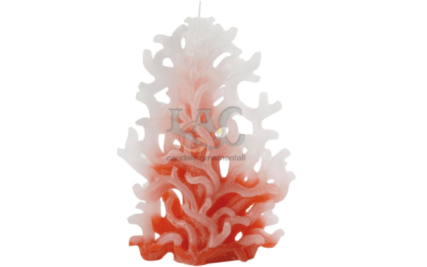 branched coral candle