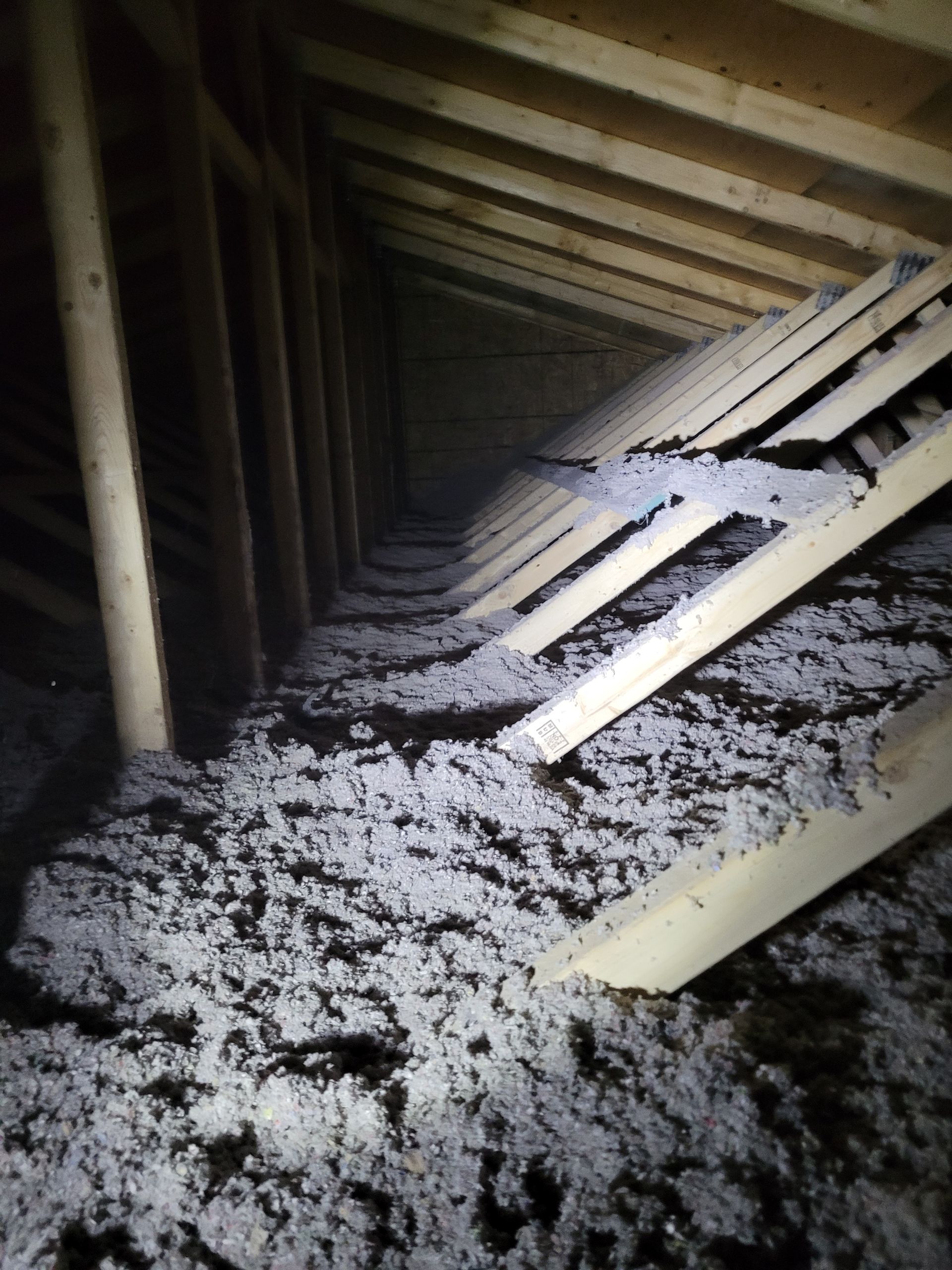 A dark attic with a lot of insulation and wooden beams.