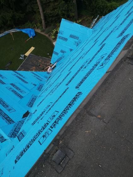 An aerial view of a roof covered in blue foam