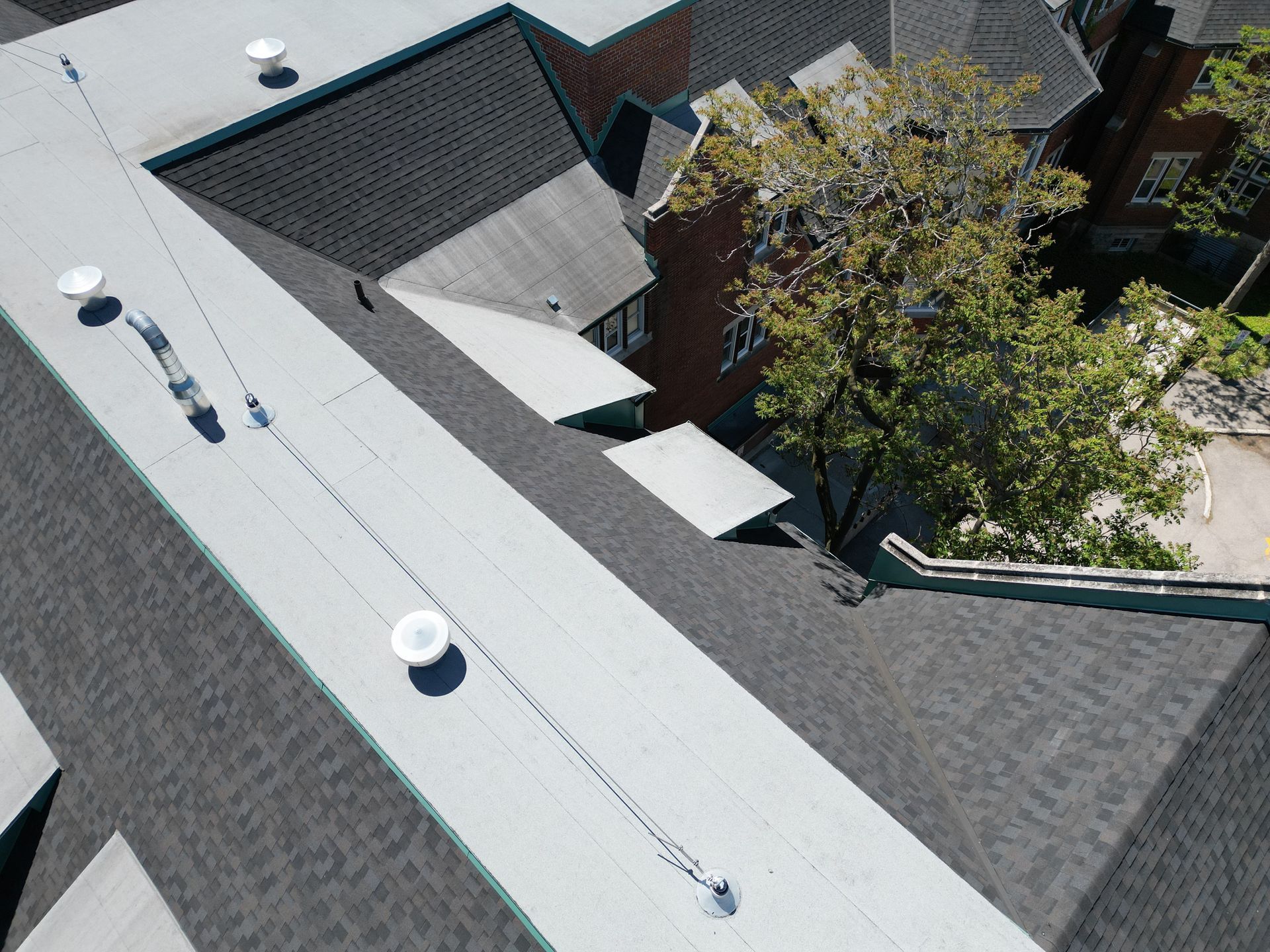Overhead view of building rooftops; white flat roof with three circular objects, gray shingled roofs, and a tree.