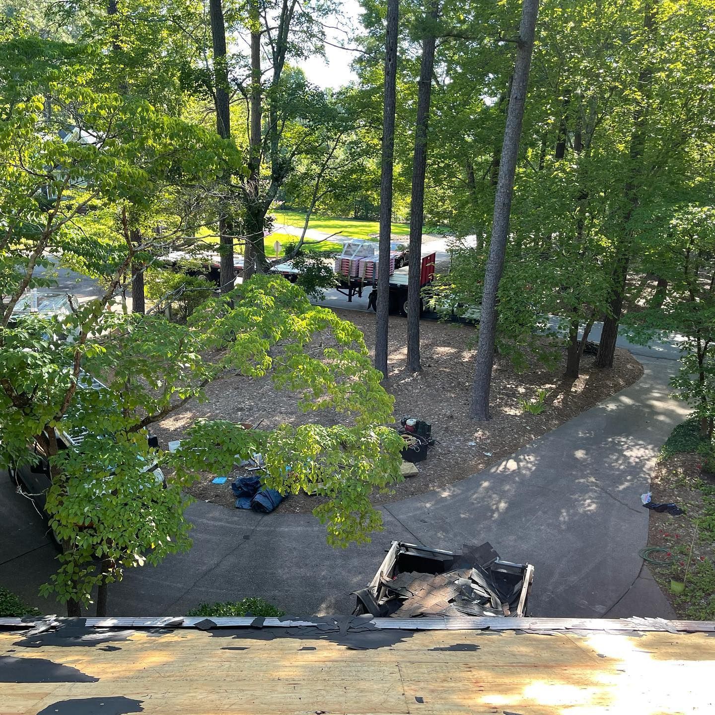 A truck is parked in the middle of a forest.