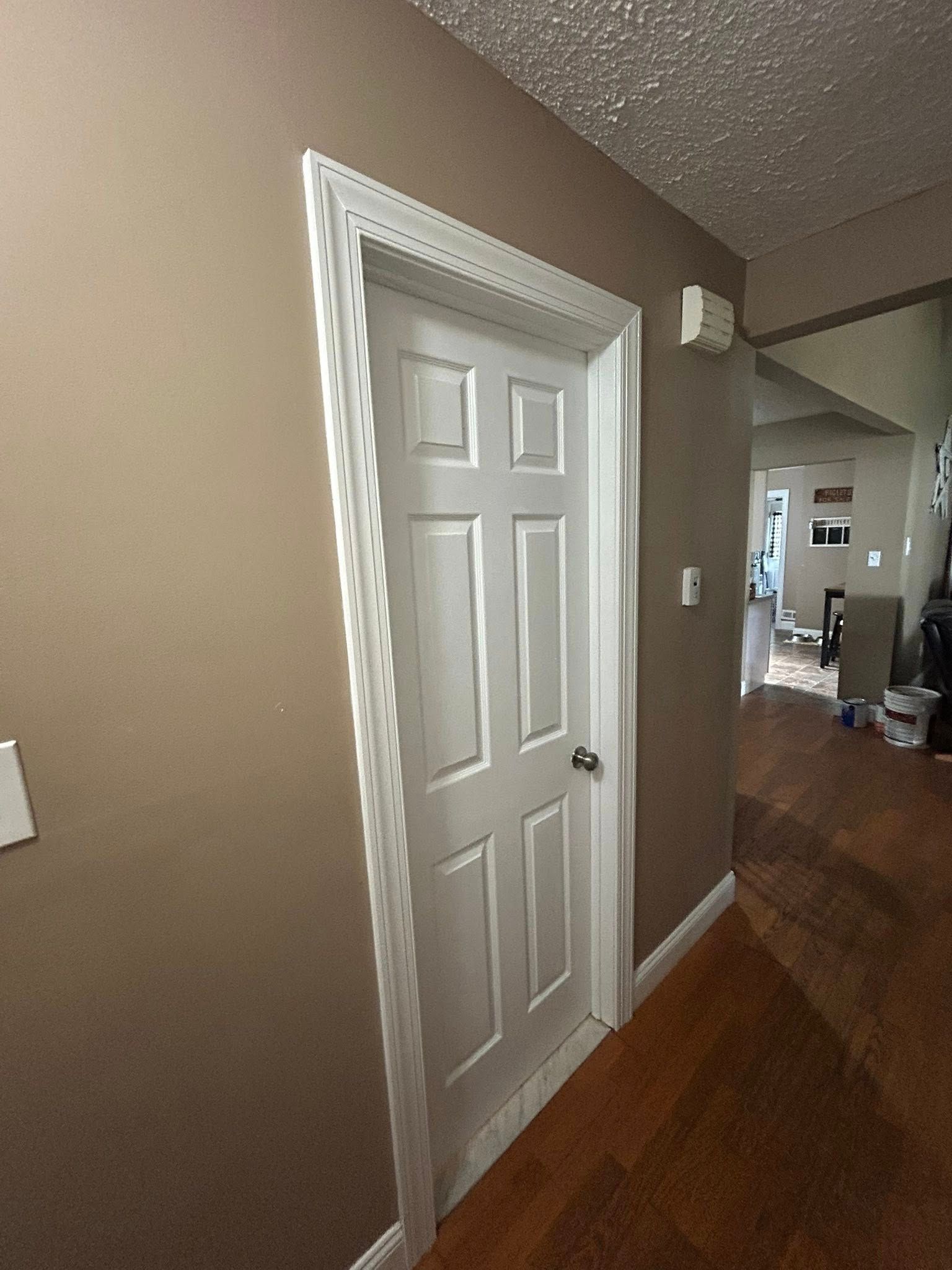White six-panel door with white trim, tan wall, and wooden floor. 