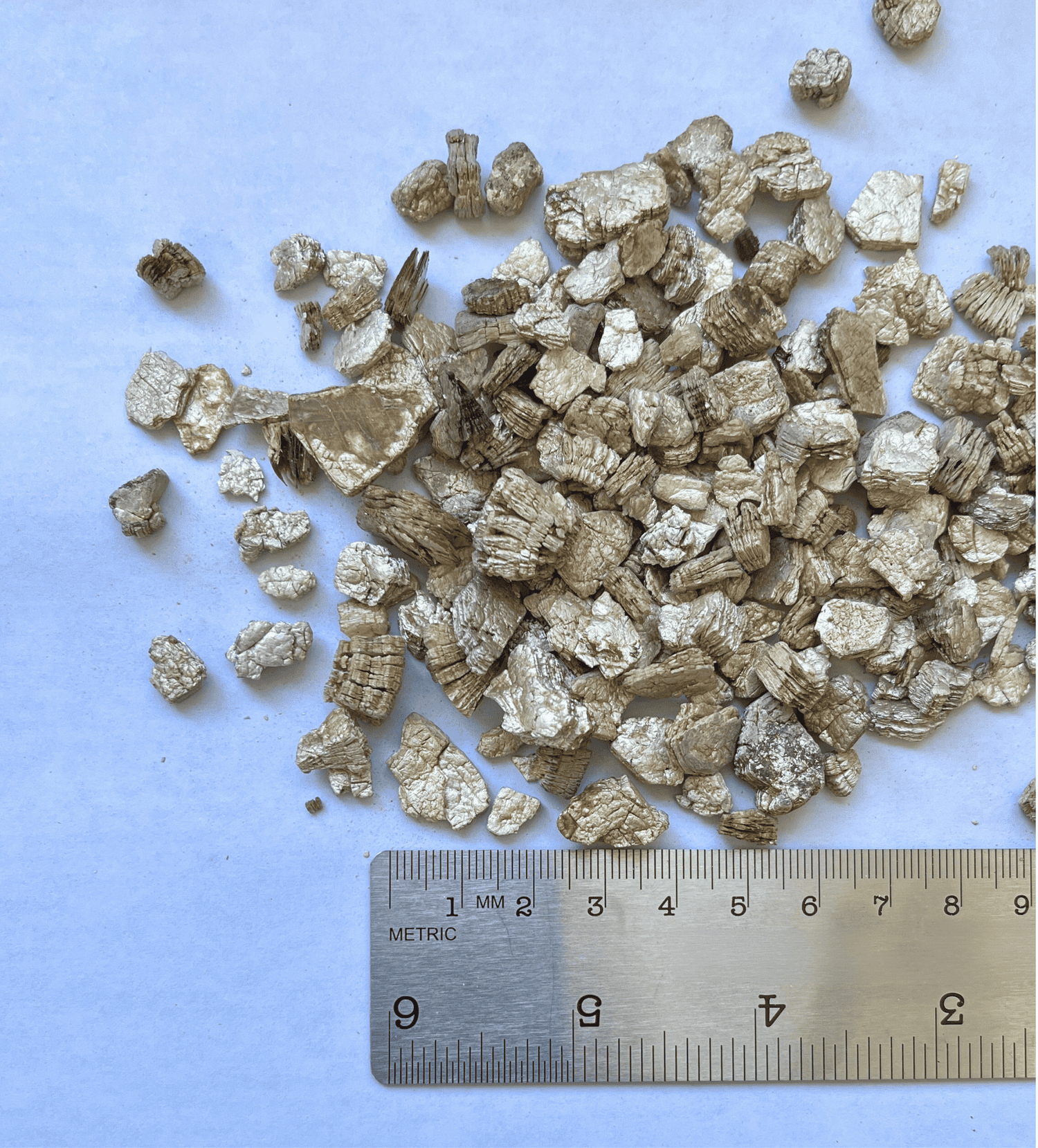 Pile of silvery-gold, irregularly shaped vermiculite granules next to a ruler showing centimeters.