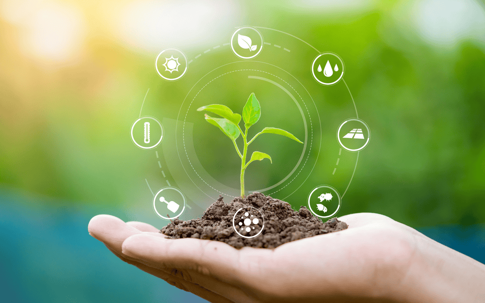 A hand holding soil with a small plant, surrounded by environmental icons, symbolizing growth and sustainability.
