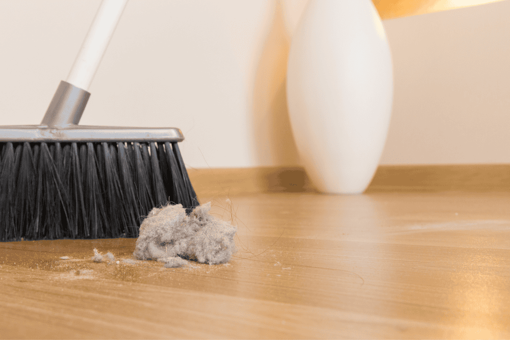 Broom sweeping a pile of dust on a wooden floor near a white vase and wall.