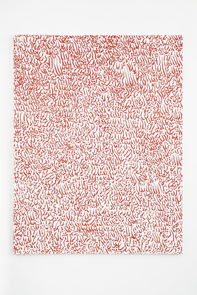 Navid Nuur geeft om 15.00 uur 
 een toelichting op zijn werk.