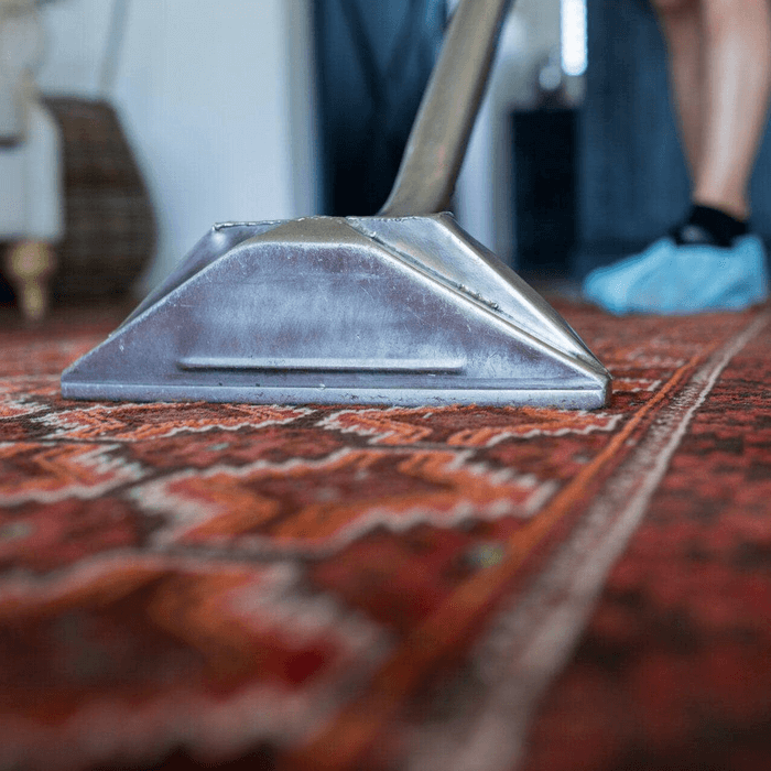 Professional Carpet Cleaning on a rug - Bay Carpet Cleaning Tauranga