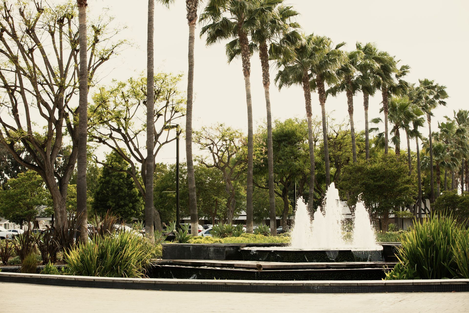 Palm-lined park with a stepped fountain and water jets under a bright sky