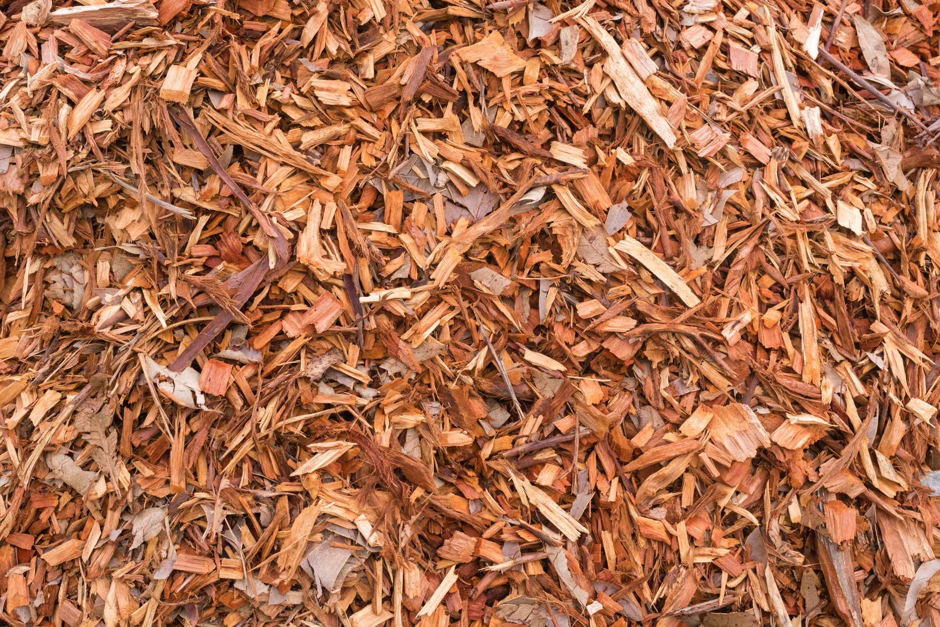 Full Frame View of Wood Chip Mulch — Your Local Arborist in Townsville, QLD