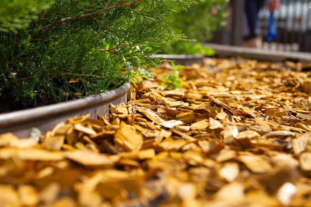 Natural Pine Mulch Yellow Colored for Flower Beds and Lawns — Your Local Arborist in Townsville, QLD