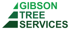 Gibson Tree Services: Your Local Arborist in Townsville