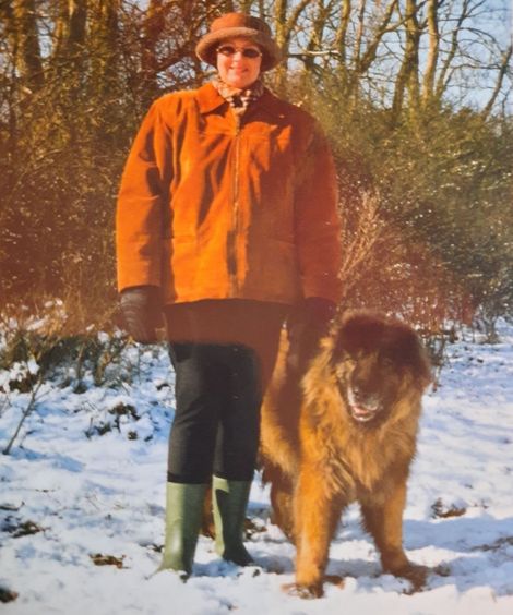 A person in an orange jacket, hat, and boots stands with a large, fluffy, brown dog in a snow-covered, wooded area.