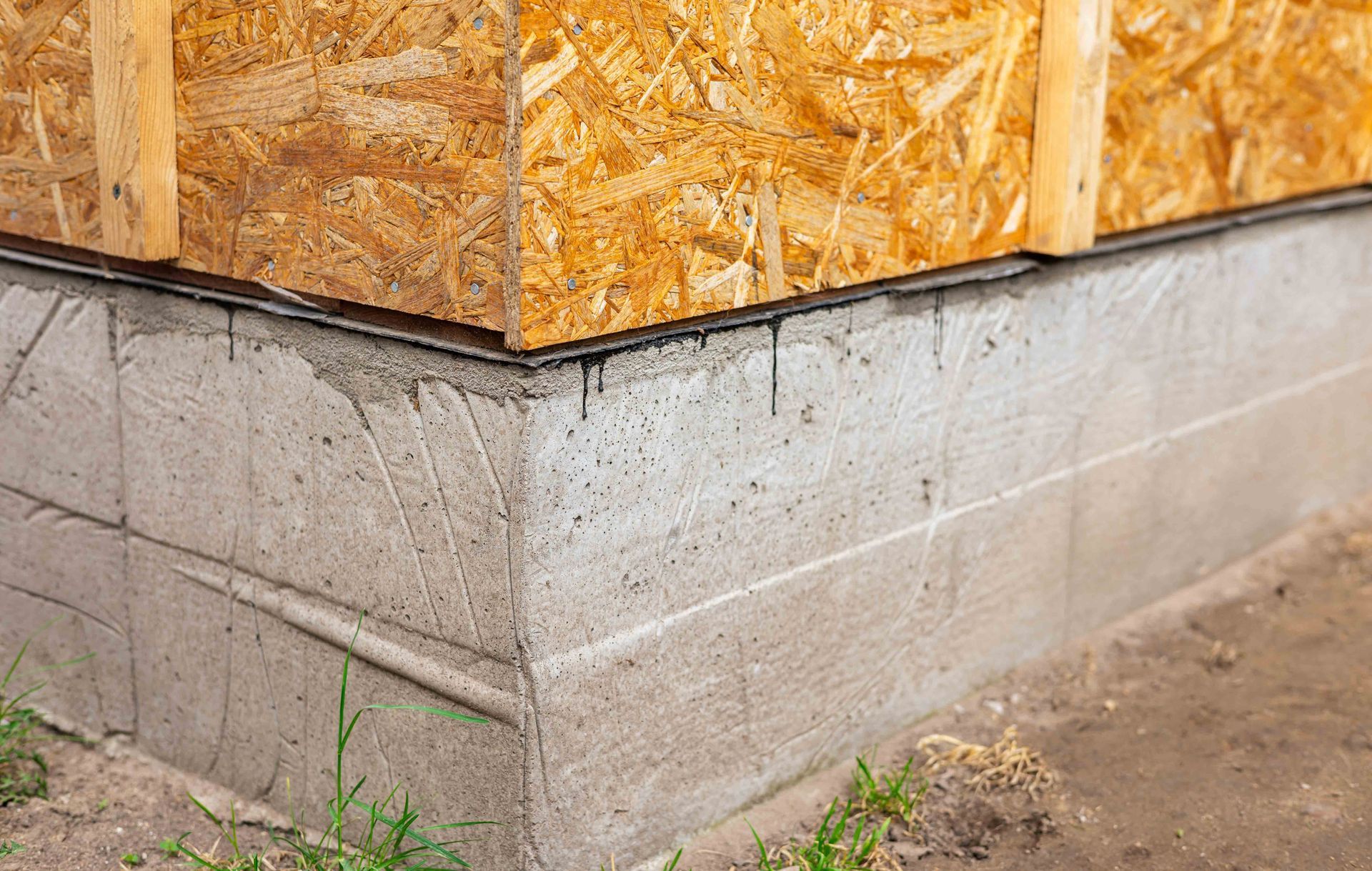Concrete foundation with wood-sheathed wall. The junction shows a black sealant between them, set outdoors.