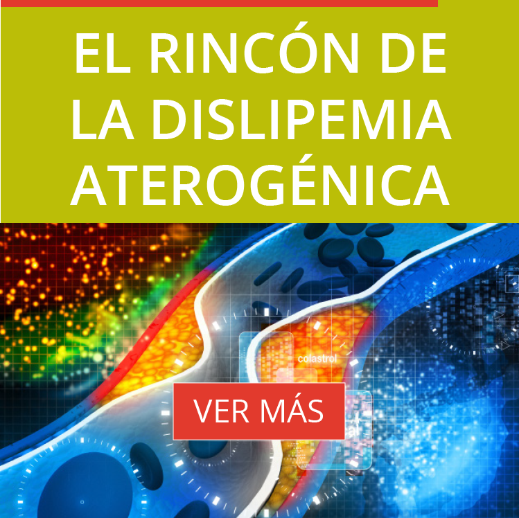 EL RINCÓN DE LA DISLIPEMIA  ATEROGÉNICA