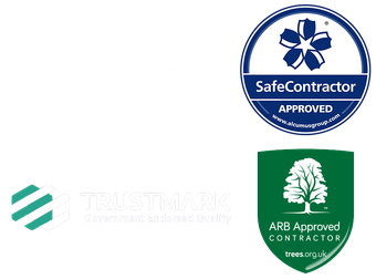 A white background with three logos including safe contractor approved trustmark and arb approved contractor