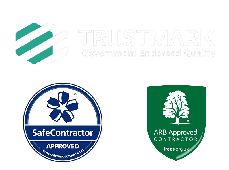 A white background with three logos including safe contractor approved trustmark and arb approved contractor