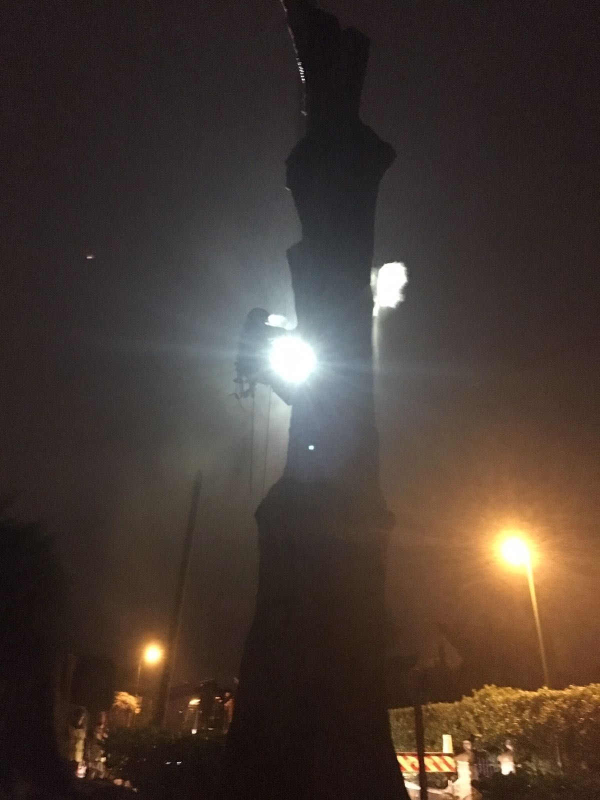 A statue is lit up at night with a street light in the background